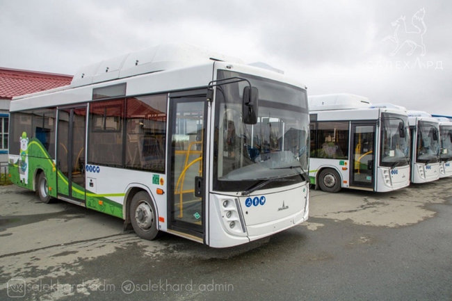автобус Салехард транспорт 