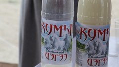 Врачи предупреждают: не садитесь за руль после кумыса