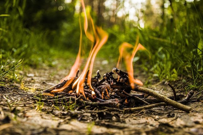 противопожарный режим огонь костер пал травы пожар 