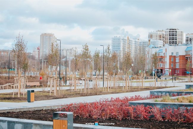 В Чувашии закончился первый этап озеленения Красной площади
