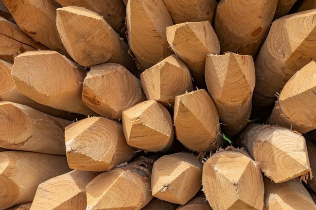 Фото: Mny-Jhee / Shutterstock