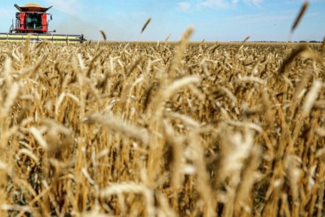 Сбор урожая пшеницы в Волгоградской области - РИА Новости, 1920, 16.01.2026