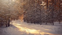 Синоптики предупредили россиян о «дёрганной» зиме