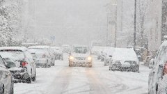 Сильный снегопад повалил деревья и светофоры в Москве