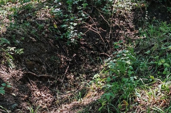 Фото: РБК Черноземье