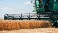 Объем агроэкспорта Чувашии вырос в 1,6 раза
пшеница урожай АПК сельское хозяйство трактор фермер