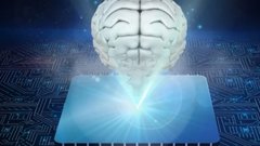 DM: раскрыт секретный проект Пентагона по синтезу людей и машин