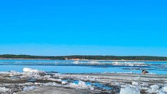 Ожидается высокий уровень воды в Центре России и Поволжье