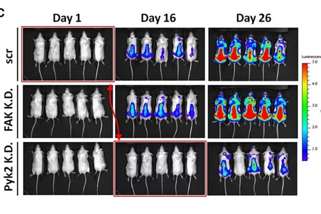 Узкое место в производстве это. Способы выявления неисправностей аппаратов. Разработка вариантов решения. Мероприятия по сокращению потерь. Позволяет выявить и устранить.
