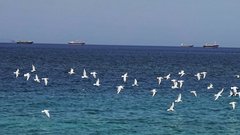 Bloomberg: экономика Европы сможет выдержать конфликт с Ираном, если он завершится в течение месяца