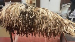 В Шереметьево у иностранца изъяли свыше 900 шкур хорька