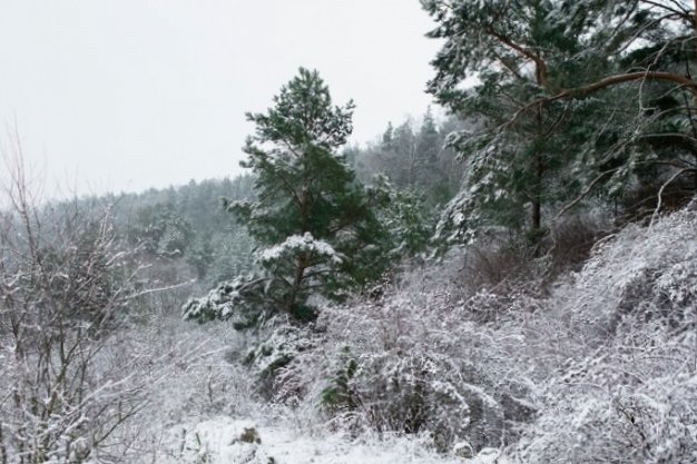 Всю Сахалинскую область накроет снегопад