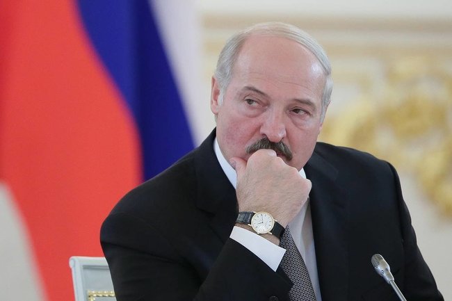 Белорусский кот-предсказатель назвал год ухода Лукашенко