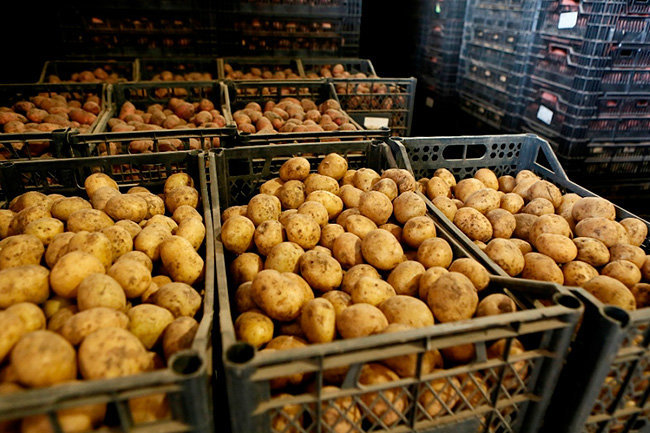 «Мираторг» и «Вкусно — и точка» построят завод по производству готовой еды из картошки