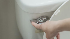 Экологическое объяснение: почему нельзя сбрасывать кошачий наполнитель в канализацию