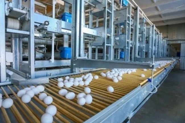 Фото: пресс-служба главы РБ