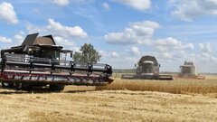 Мировые цены на еду достигли рекордного уровня