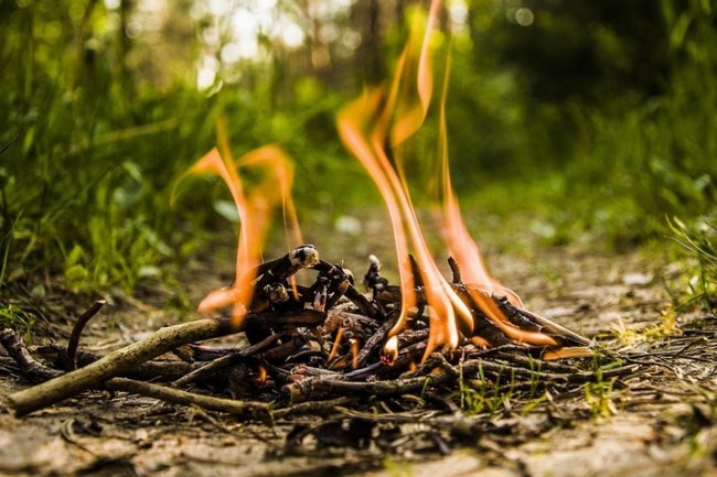 противопожарный режим огонь костер пал травы пожар