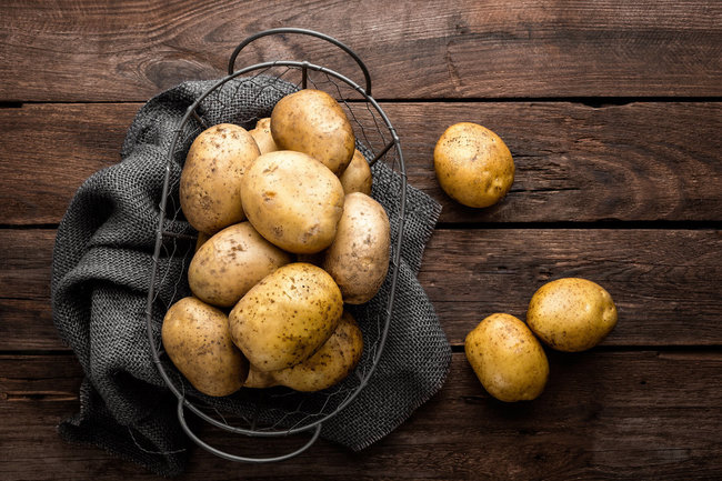 В Салехарде вырастят картофель из Арктического банка здоровых растений