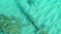 Студент обнаружил меч крестоносцев после встречи с мародерами