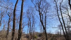 Запрет на посещение лесов в Калининграде из-за пожаров