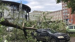 В России зафиксировано рекордное число природных катастроф за последние 5 лет