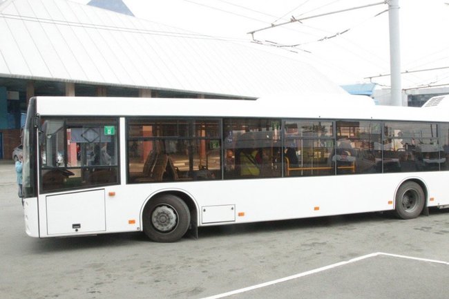В Челябинске на покупку 65 новых автобусов выделят 750 млн рублей