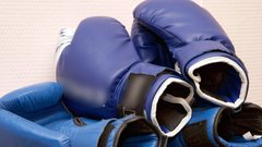 Международная федерация бокса одобрила вступление Федерации бокса России