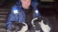 Спасение собаки, застрявшей в подвале многоэтажного дома в Новороссийске