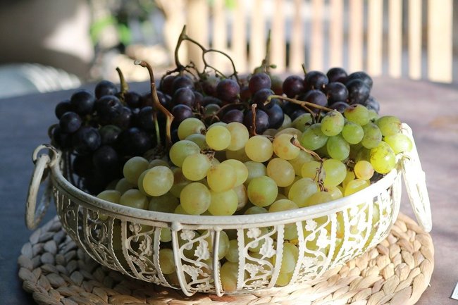 Беда не приходит одна: во Франции погиб урожай винограда
