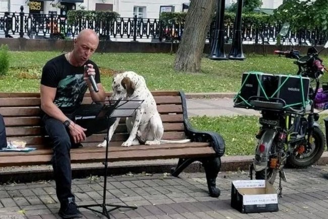 Влад Сапега и не предполагал, что однажды станет уличным артистом, и не один, а со своим верным другом – далматинцем по имени Лорд.