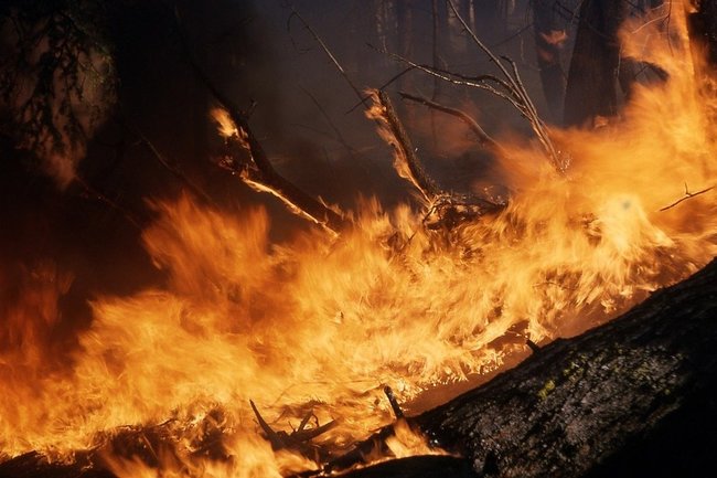 Сгореть заживо: история страшного пожара в СССР, сгубившего 1200 человек