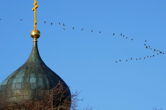 свечи, храм, РПЦ, общество, церковь