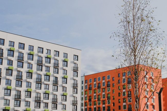 Фото: Evgeniia Primavera / Shutterstock / FOTODOM