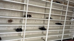 Прихожая в сезон дождей: место для мокрой обуви и одежды