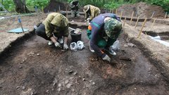 В Приуральском районе найдены зубы мамонта и остатки древних морских организмов