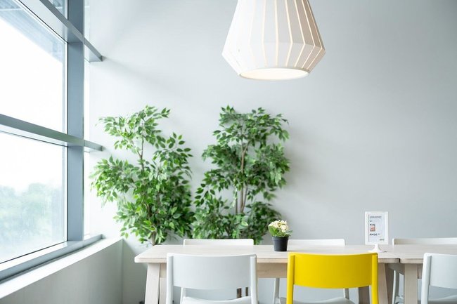 В ХМАО создают мебельный гигант на замену IKEA