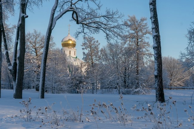 Фото: PhotoXPress.ru