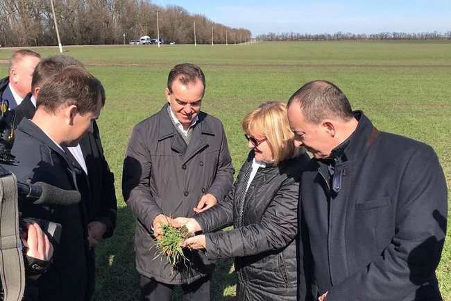Глава Кубани осмотрел поля озимой пшеницы и спецтехнику в Брюховецком районе