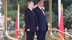 Китай раскрыл повестку предстоящих переговоров Владимира Путина и Си Цзиньпина