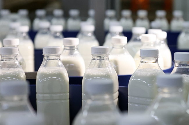 молоко завод производство 
