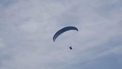 Парапланерист, застрявший на дереве в горах Германии, был найден туристами