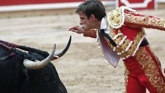 Бык убил мужчину рогами во время карнавала