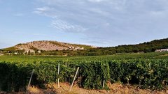 В 2025 году количество туристов на агротуристических объектах Дона увеличилось на 30%