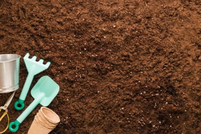 Почва будет рыхлой и плодородной: необычное средство