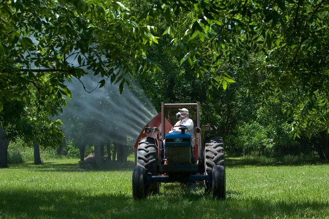 зеленая революция в мексике. зеленая революция. зеленая революция мероприятия. зеленая революция в мексике. зеленая революция в сельском хозяйстве.