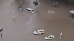 Жителей Москвы настоятельно просят избегать укрытий под определёнными деревьями во время непогоды