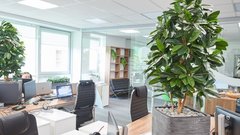 Российские зумеры чаще признают, что «филонят на работе»