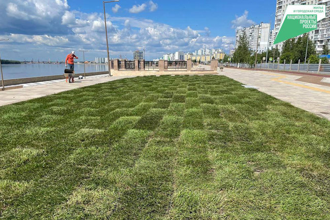 В Нижневартовске на набережной впервые постелят рулонные газоны газон 