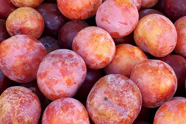 Свежие сливы. Иллюстрация продукта, не подтверждение места выращивания. Тематическая иллюстрация.